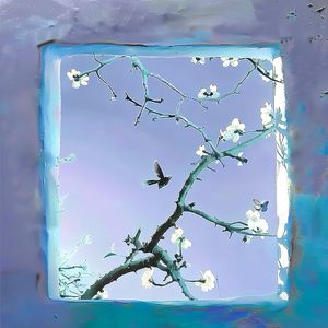 泰国成人做爰A片
