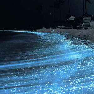 泰国成人做爰A片
