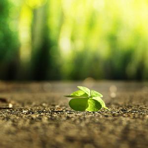 泰国成人做爰A片
